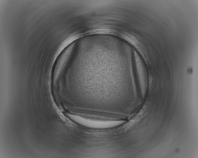 X0000097841426200803281214
