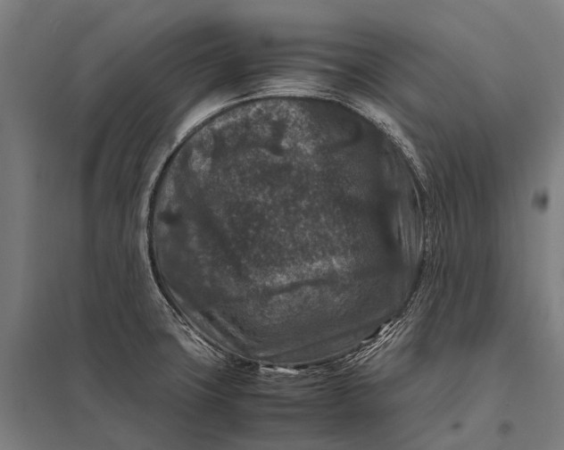 X0000097841427200803281214