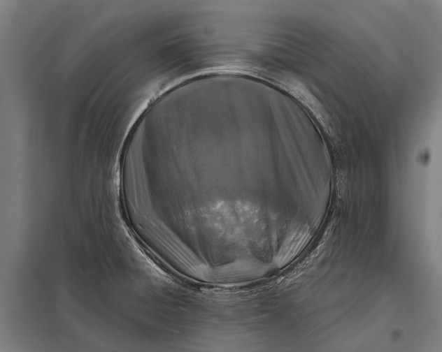 X0000097841428200803281214