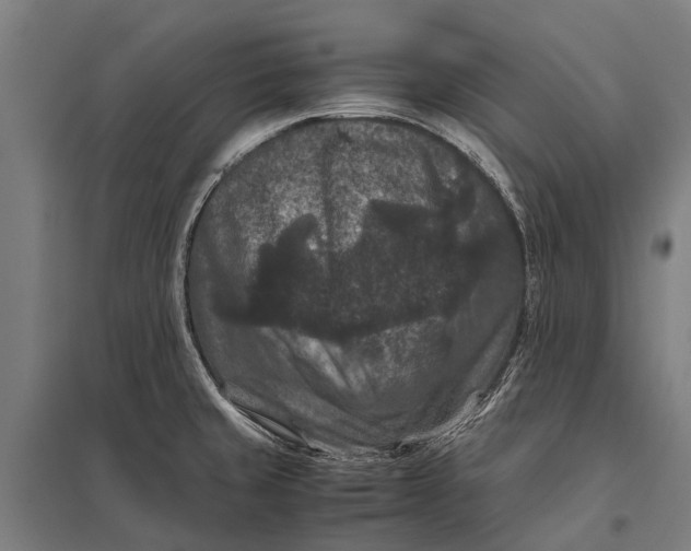 X0000097841429200803281214