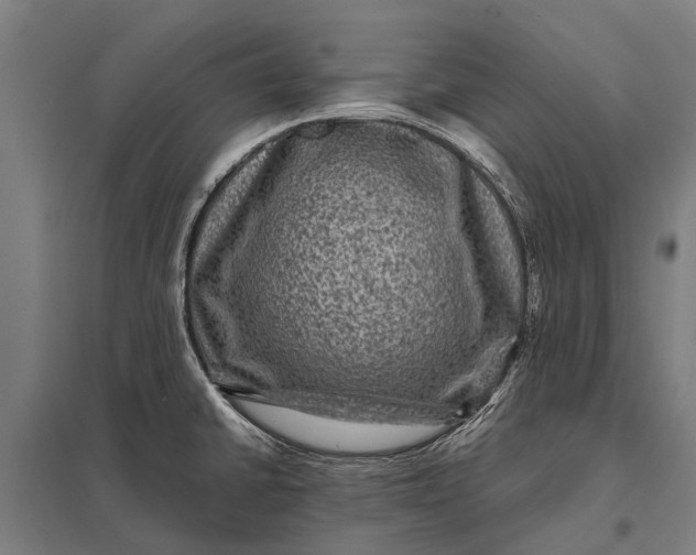 X0000097841430200803281214
