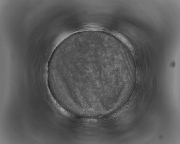 X0000097841431200803281214
