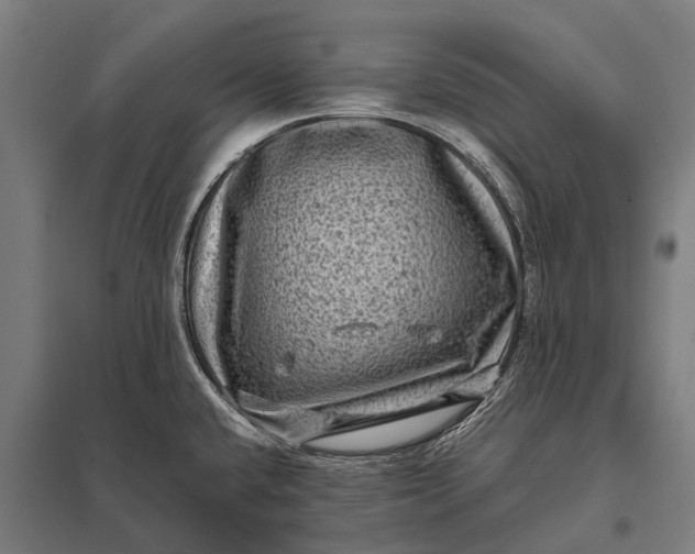 X0000097841432200803281214