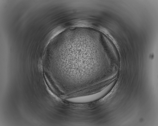 X0000097841433200803281214