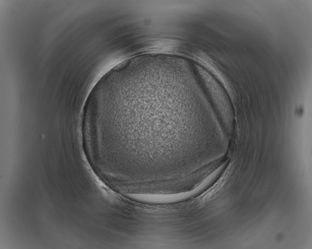 X0000097841434200803281214