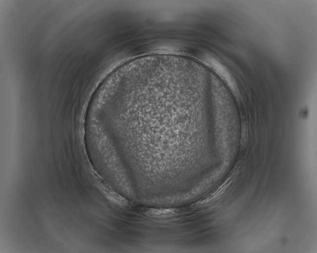 X0000097841435200803281214