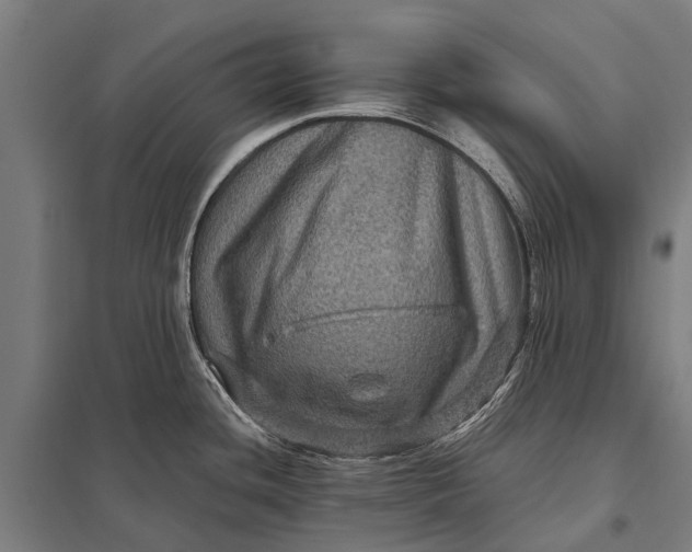 X0000097841436200803281214