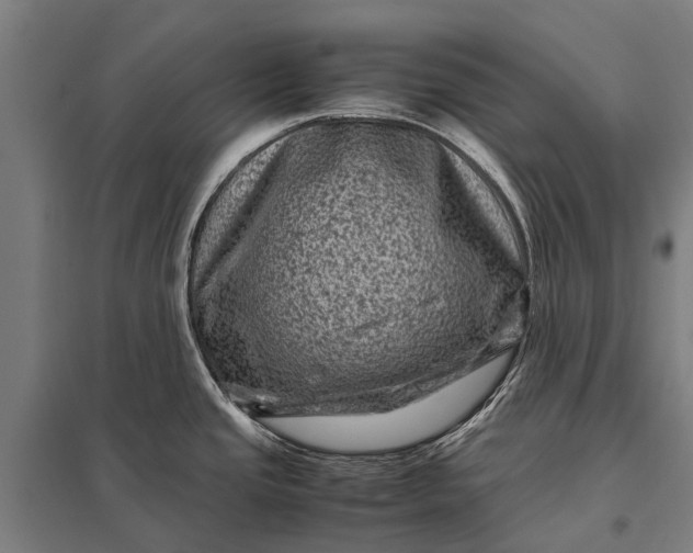 X0000097841437200803281214