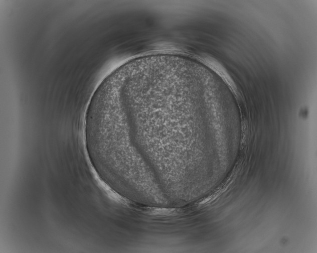 X0000097841439200803281214