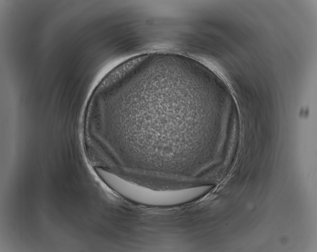 X0000097841440200803281214
