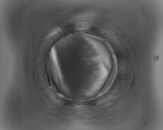 X0000097841441200803281213