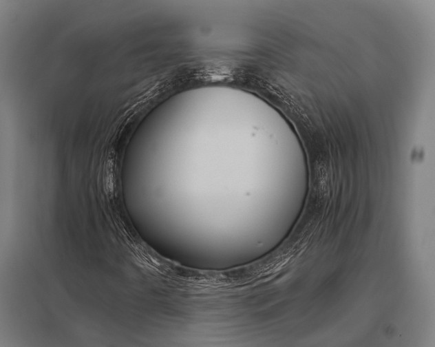 X0000097841442200803281213