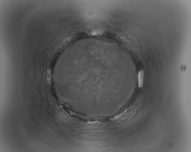 X0000097841443200803281213
