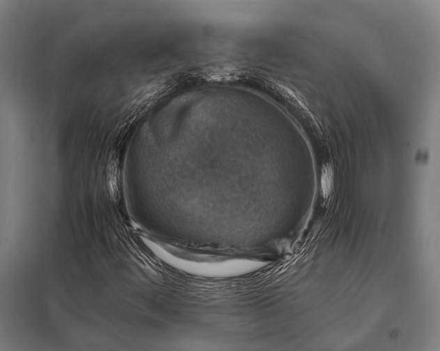 X0000097841444200803281213
