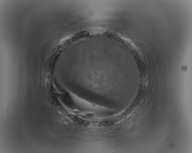 X0000097841445200803281213