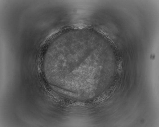 X0000097841446200803281213