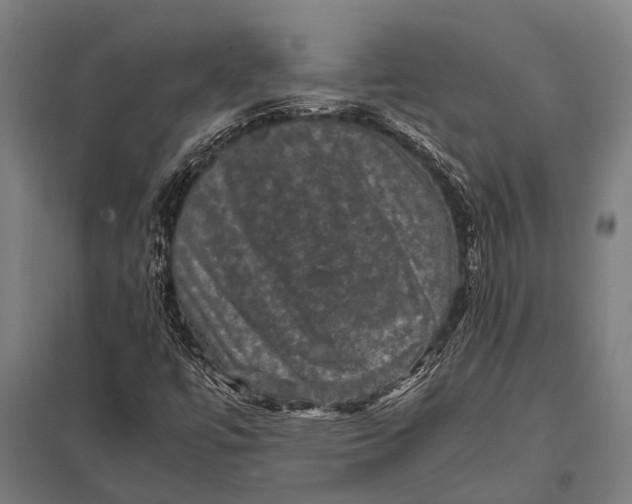 X0000097841447200803281213