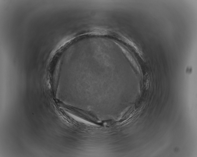 X0000097841448200803281213