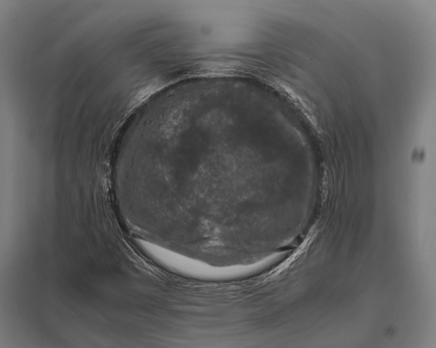 X0000097841449200803281213