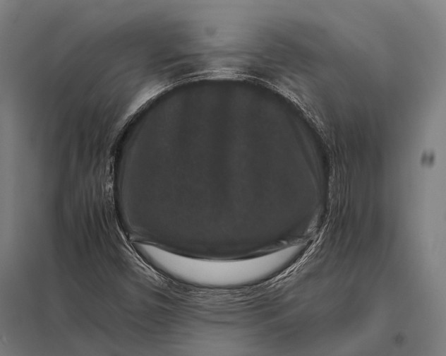 X0000097841450200803281213
