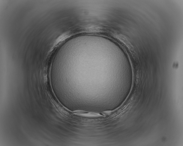 X0000097841451200803281213
