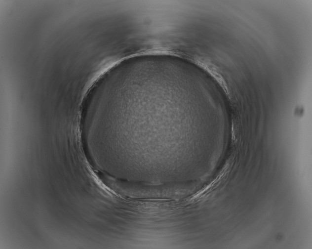 X0000097841452200803281213