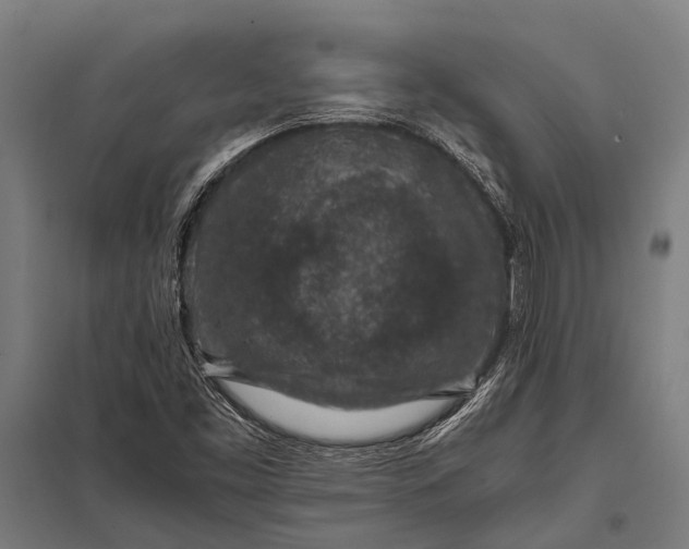 X0000097841453200803281213