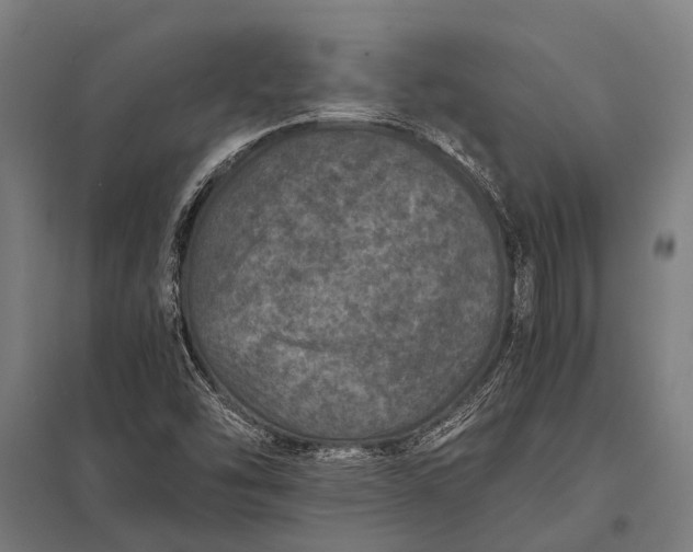 X0000097841454200803281213