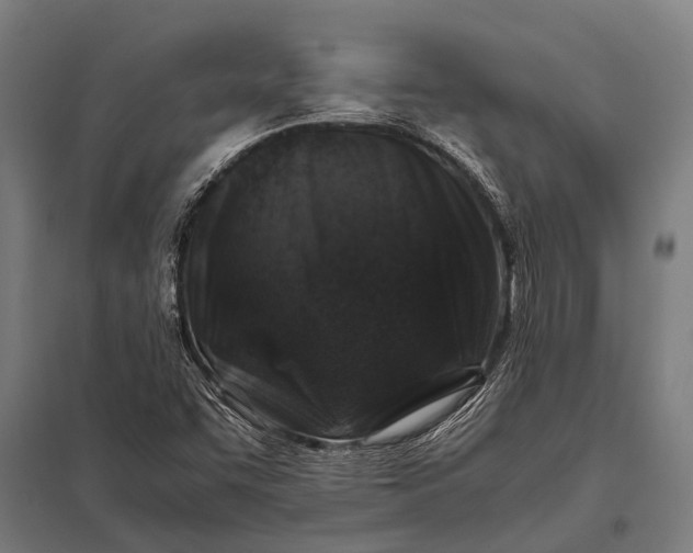 X0000097841455200803281213