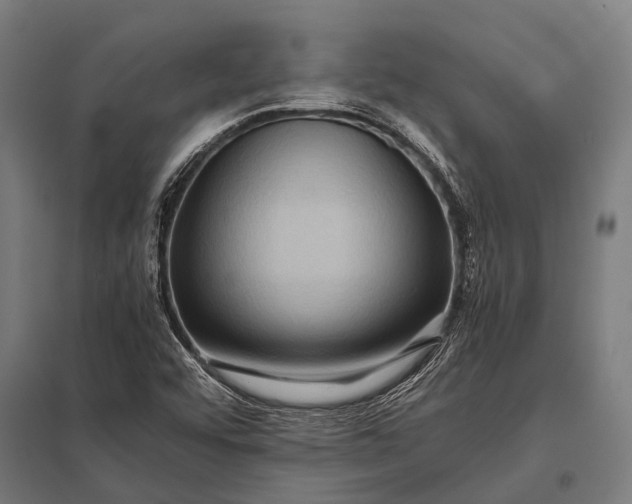 X0000097841456200803281213
