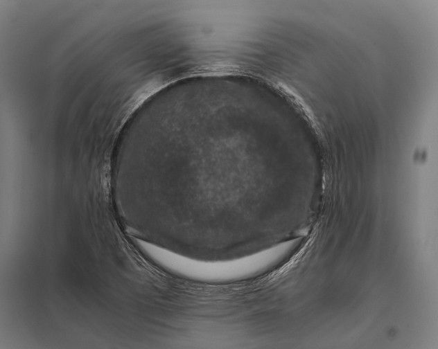 X0000097841457200803281213