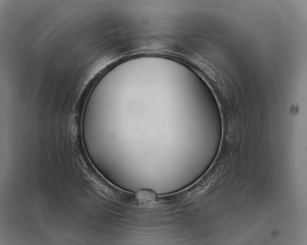 X0000097841458200803281213