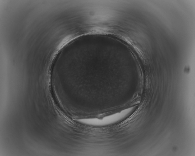 X0000097841459200803281213