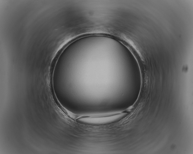 X0000097841460200803281213