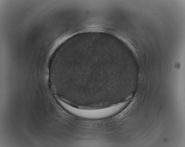 X0000097841461200803281213