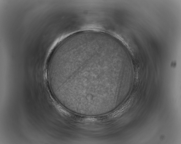 X0000097841462200803281213