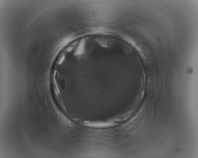 X0000097841463200803281213
