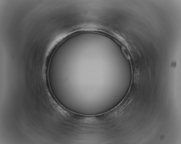 X0000097841464200803281213