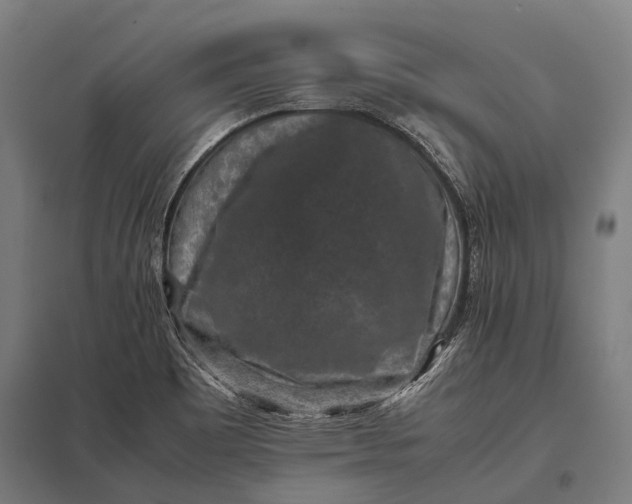 X0000097841465200803281213