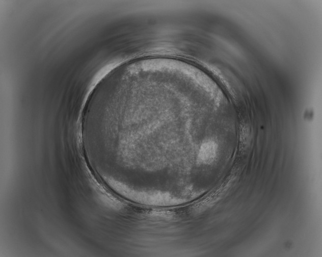 X0000097841466200803281213