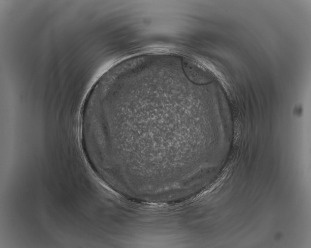X0000097841467200803281213