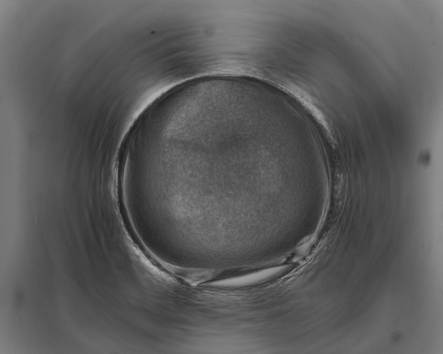 X0000097841468200803281213