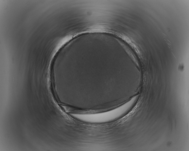 X0000097841469200803281213