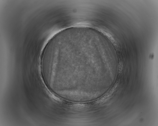 X0000097841470200803281213