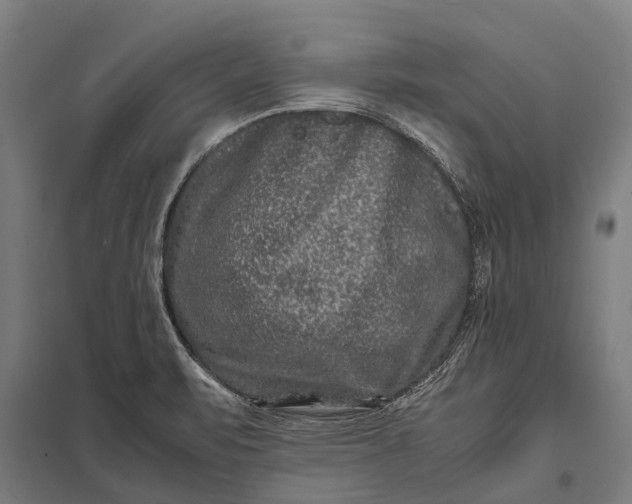X0000097841471200803281213