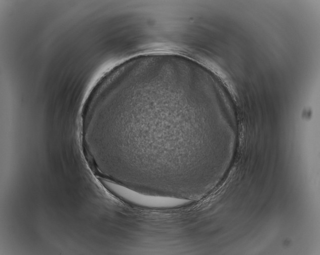 X0000097841472200803281212