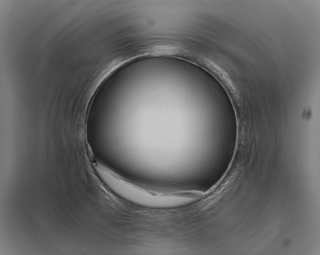 X0000097841473200803281212