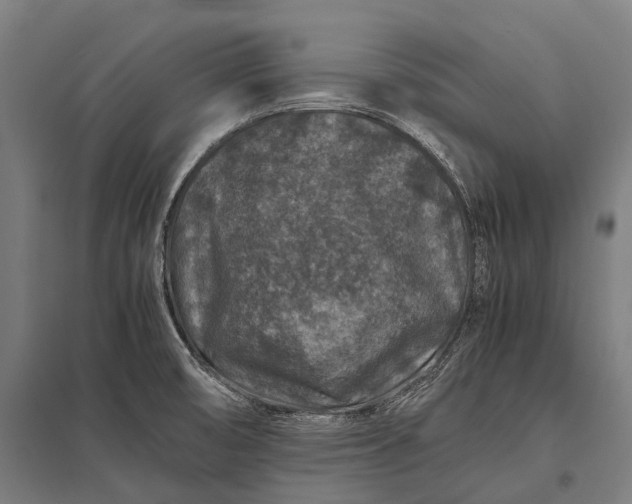 X0000097841474200803281212