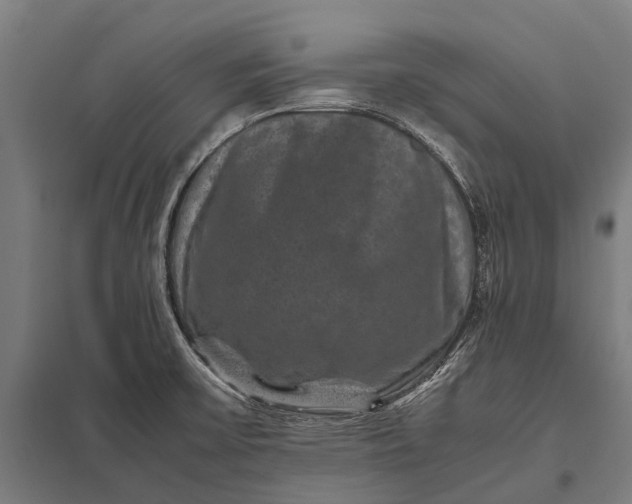 X0000097841475200803281212