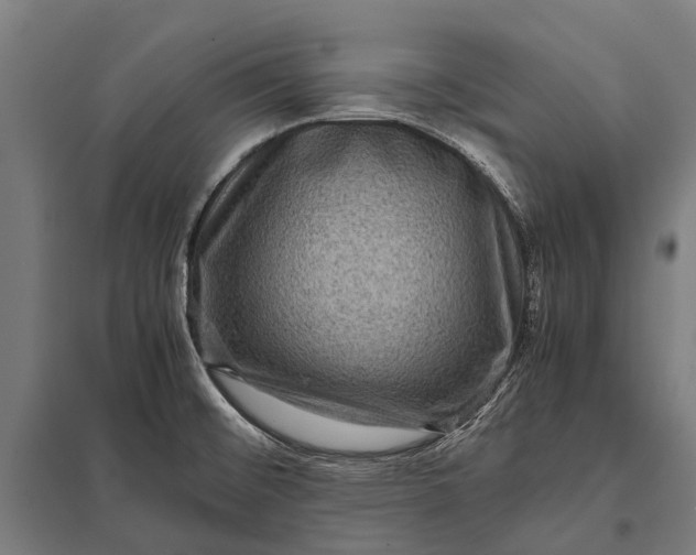 X0000097841476200803281212